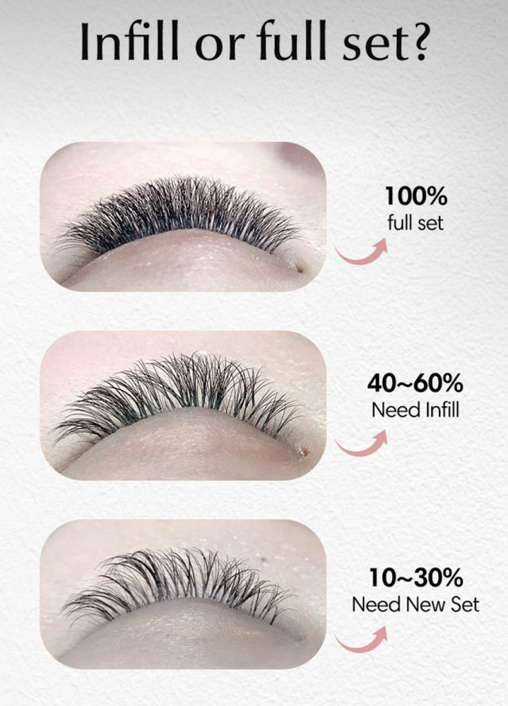 2-3 Week Lash inFill