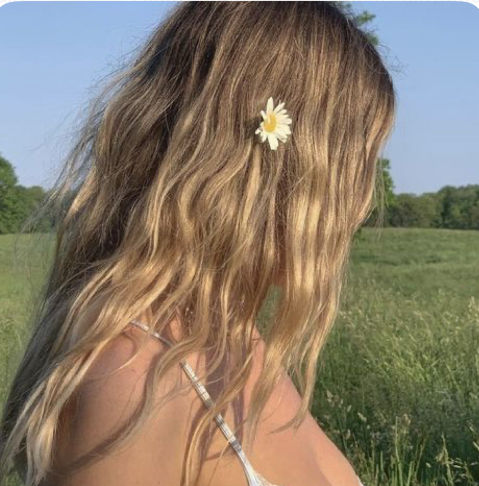 THE SHINE •PARTIAL•