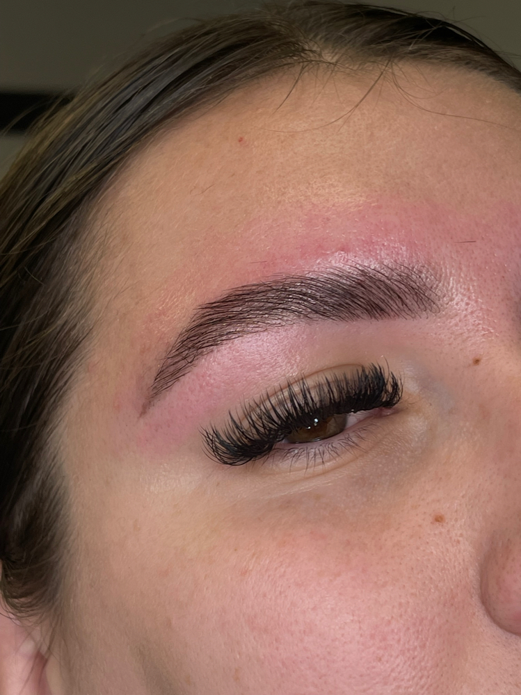 𝒯𝒽𝑒 𝐵𝓇𝑜𝓌 𝐵𝓊𝓃𝒹𝓁𝑒