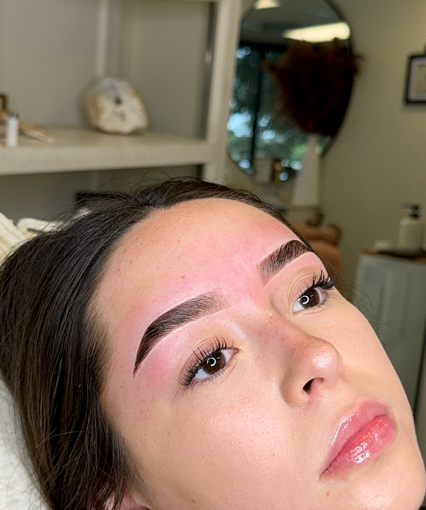 Brow Lami+Tint+Wax Returning Client