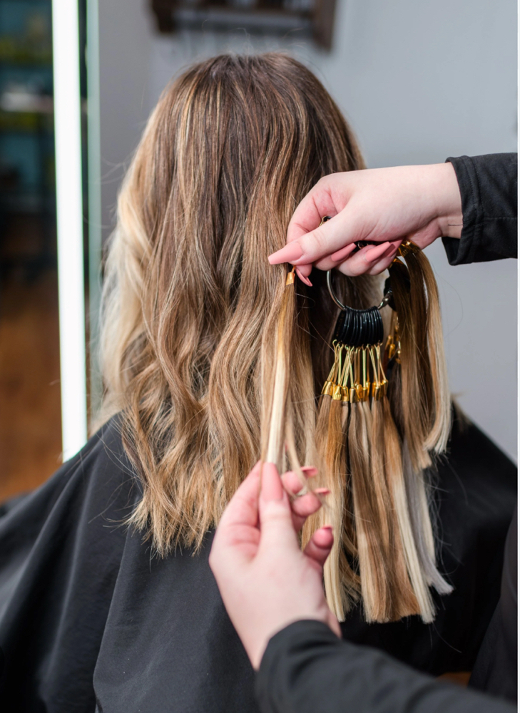 Hair Extension Consultation