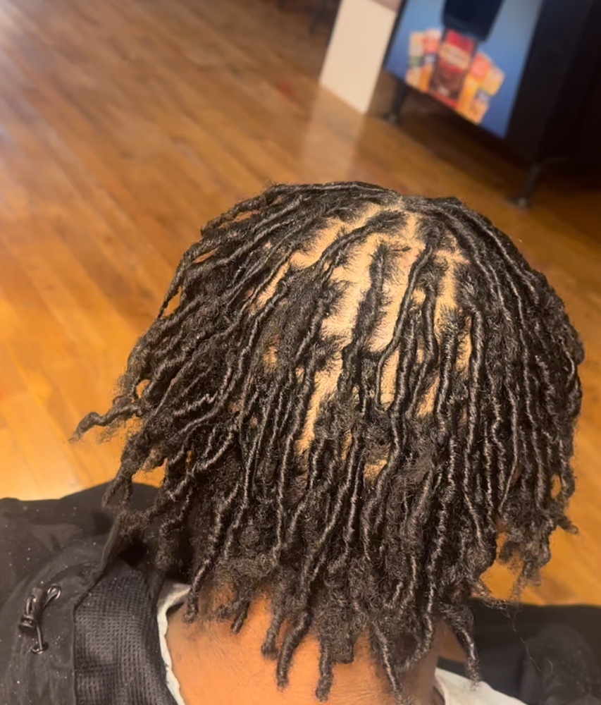 Starter Locs