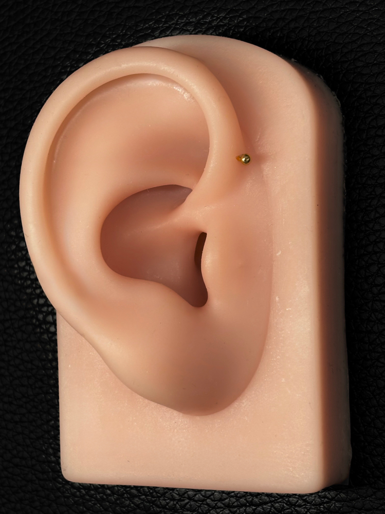 Forward Helix at Anthem Piercing & Tattoo in North Salt Lake, UT