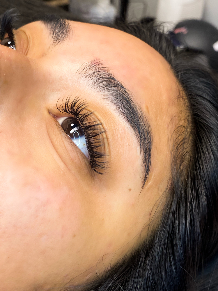 Wet Lash Look (Volume Full Set)