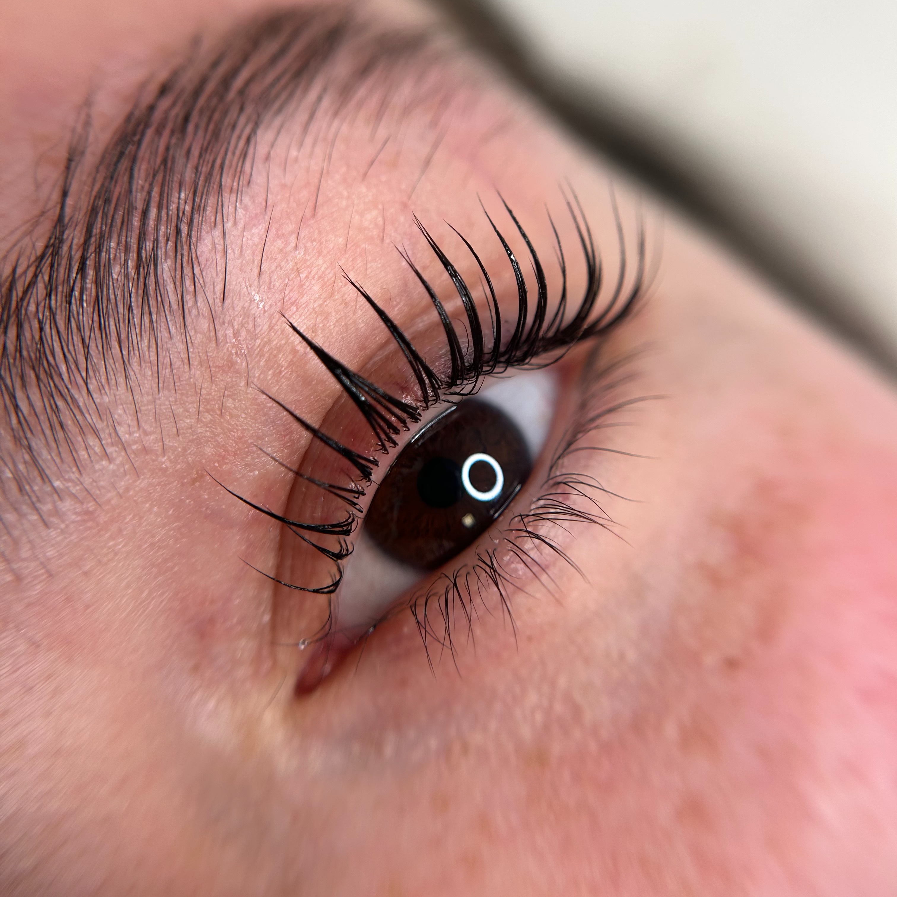KOREAN LASH LIFT IN PERSON TRAINING at Browtivity in Avondale, AZ
