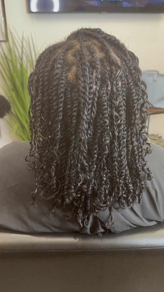 Impressive Small/Medium Twist