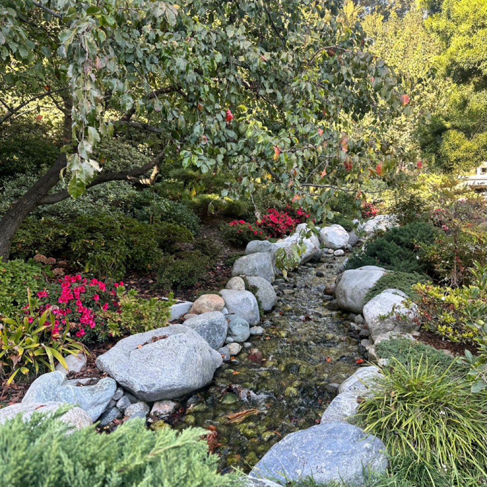 Postpartum Visit-3Hr (Private Pay)