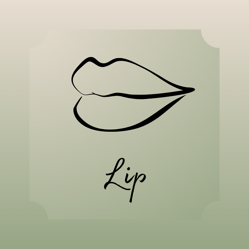 Lip