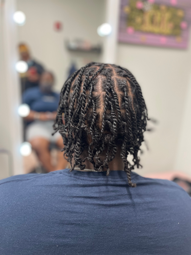 Small  Two Strand Starter Locs