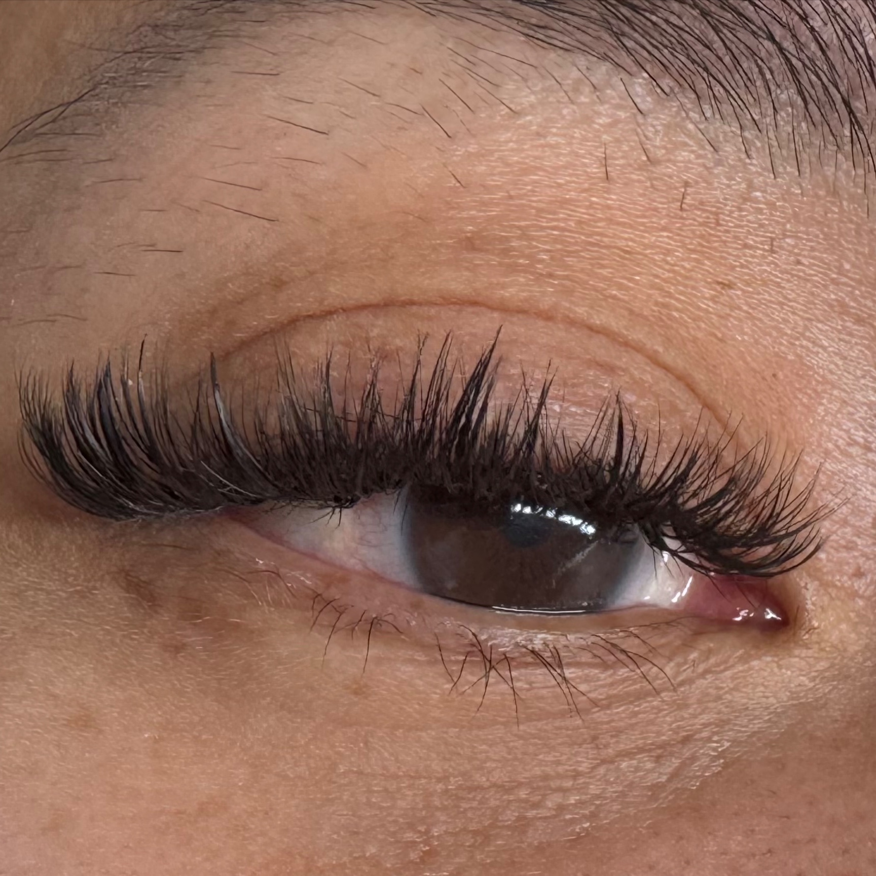 Hybrid Full Set at LashNBloom in Lakewood, CO