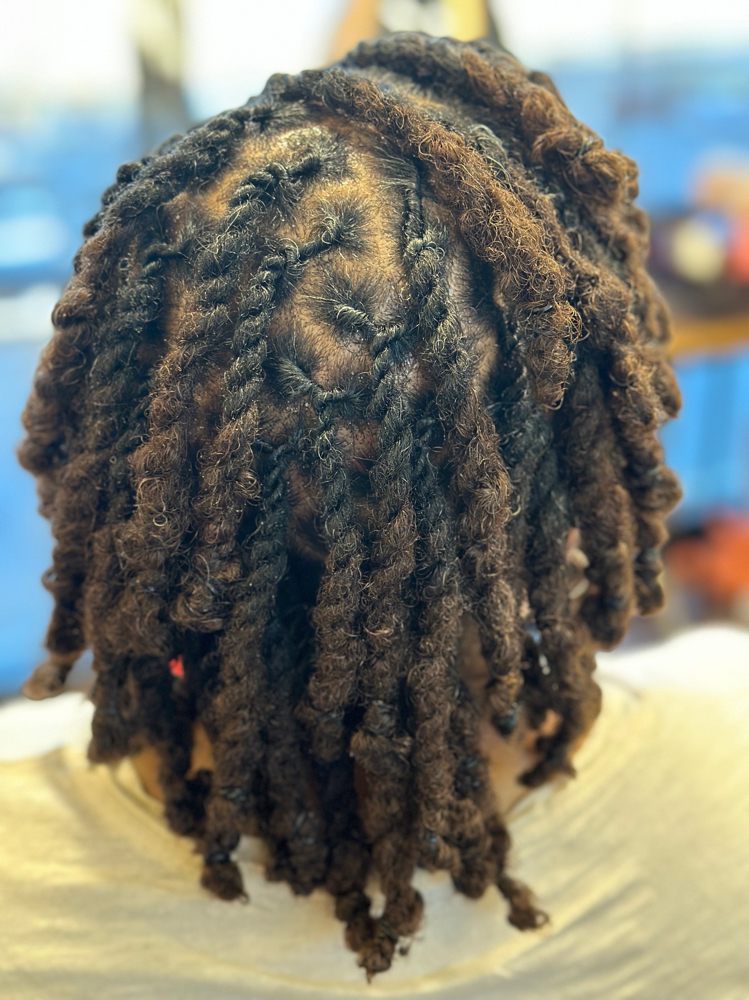 Loc Maintenance w/ Two Strand Twist