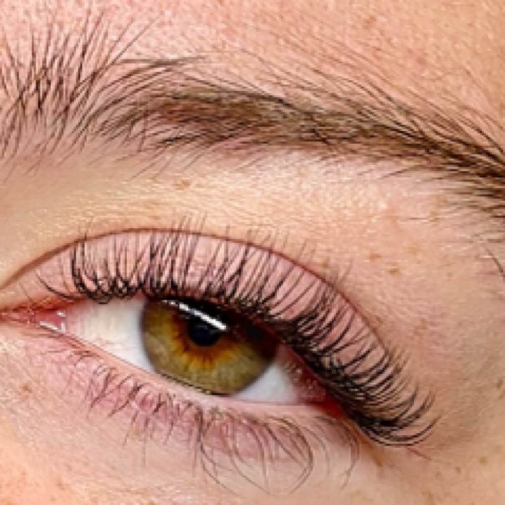 CLASSIC LASHES at Honey Lux Lashes in Temple, TX
