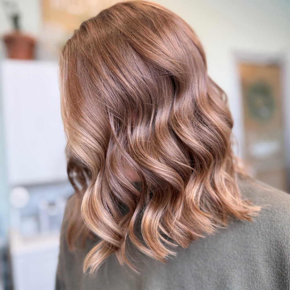 COLOR + BLOWOUT at Wild Bloom Hair Studio in Wyomissing, PA