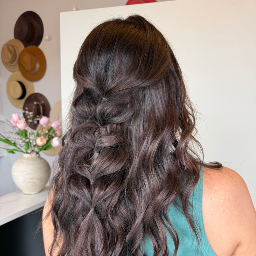 Hair Style Only at hairbyaudreylynn in Lake City, FL