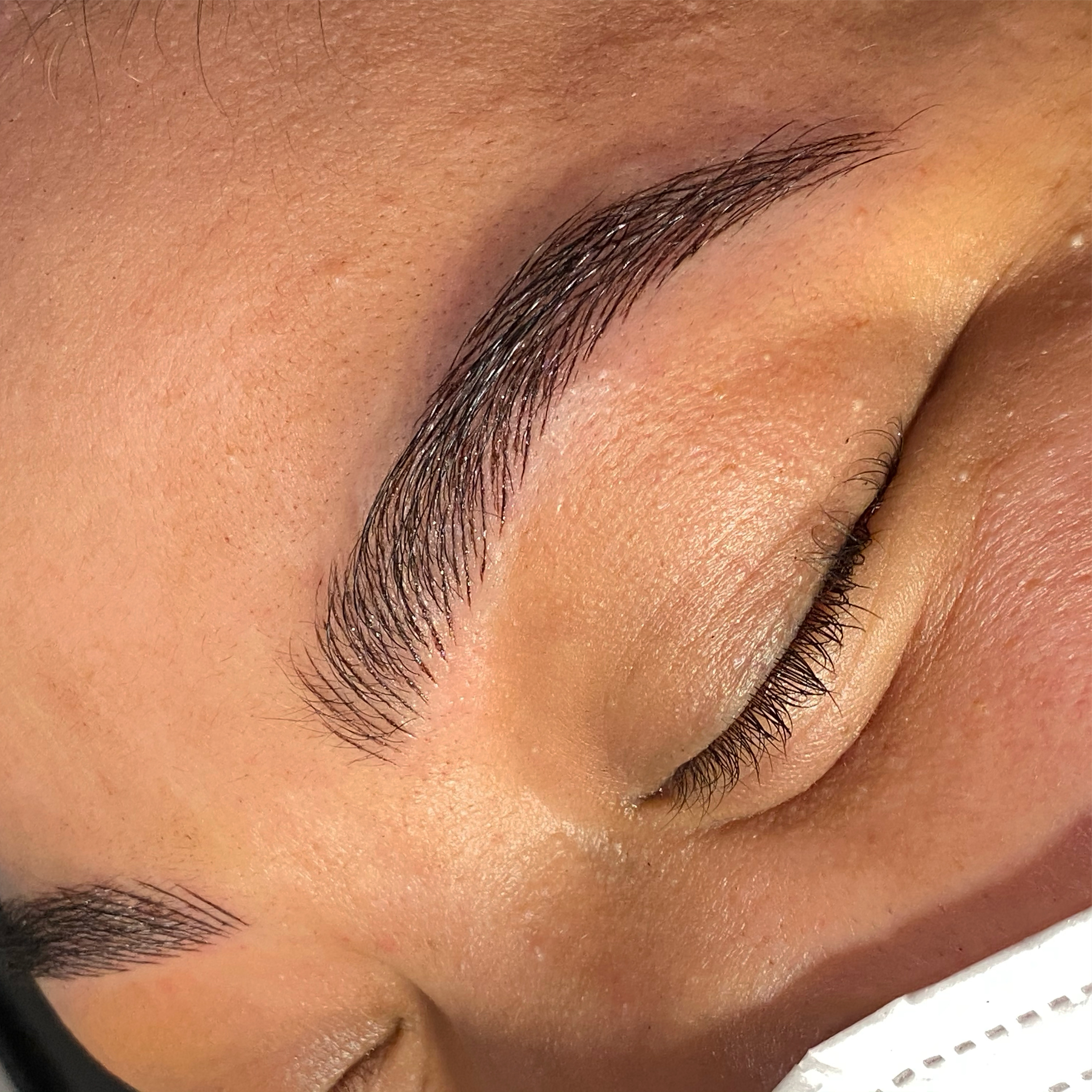 The Microblading Retouch (>1yr)