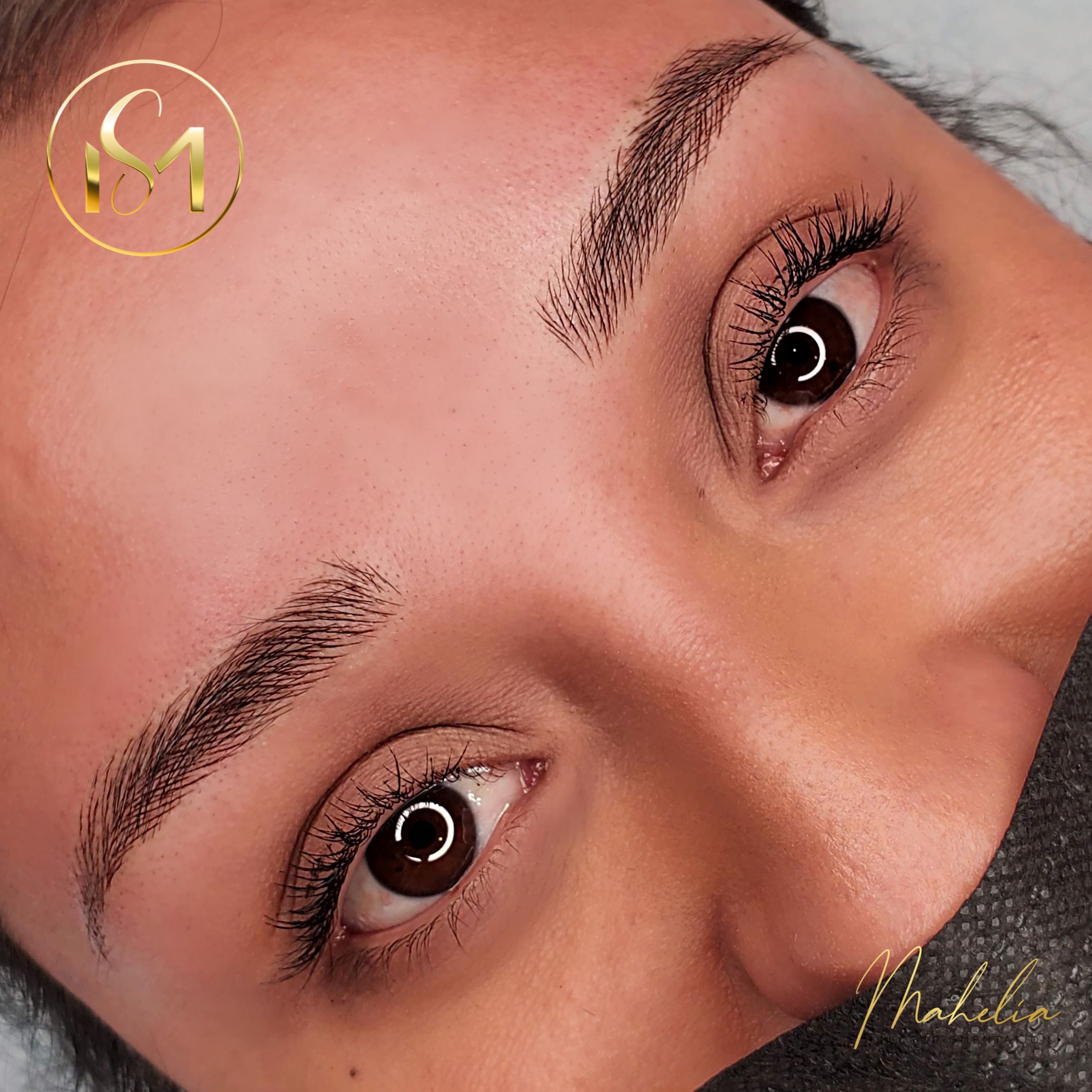 EYEBROWS WAX at Mahelia PMU Academy in Whittier., CA