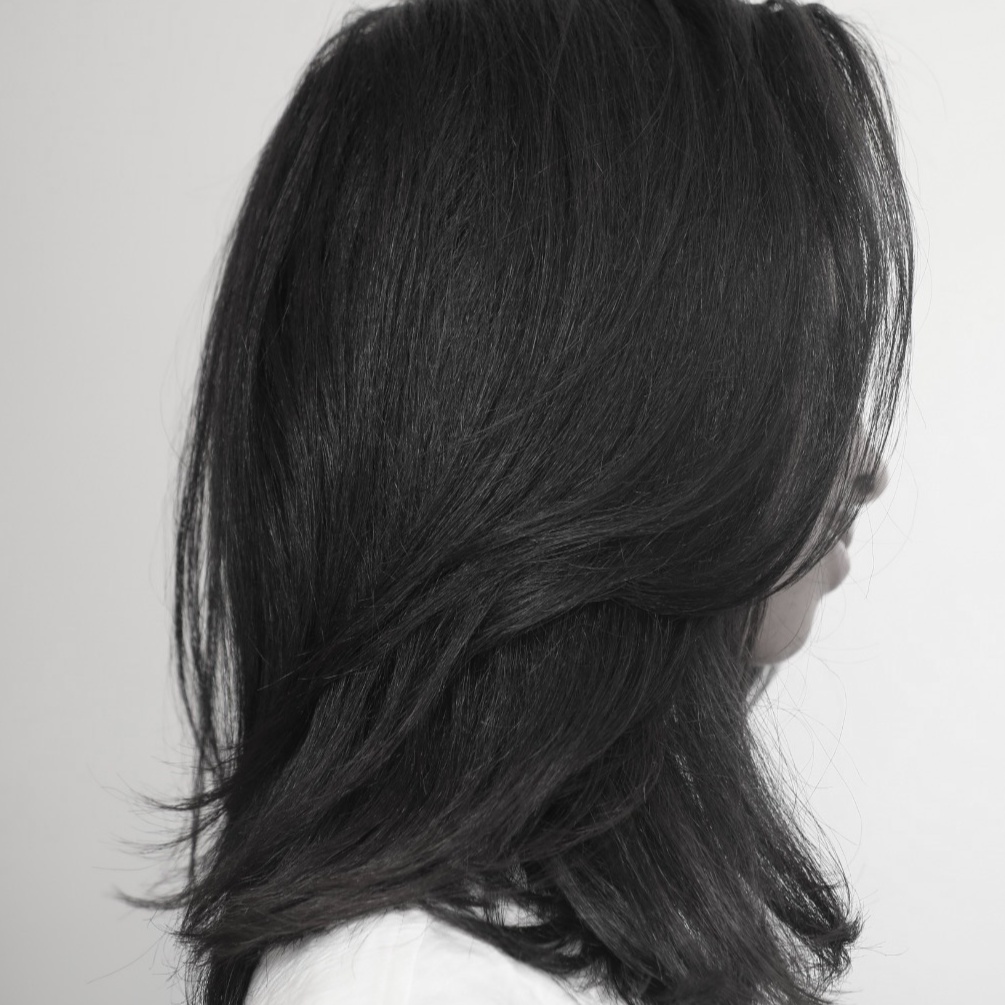 Signature Silk Press