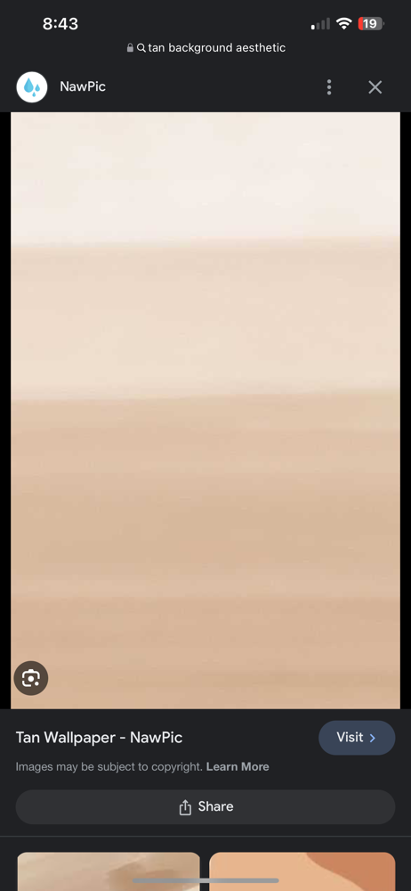 Hydro Jelly Brow Mask