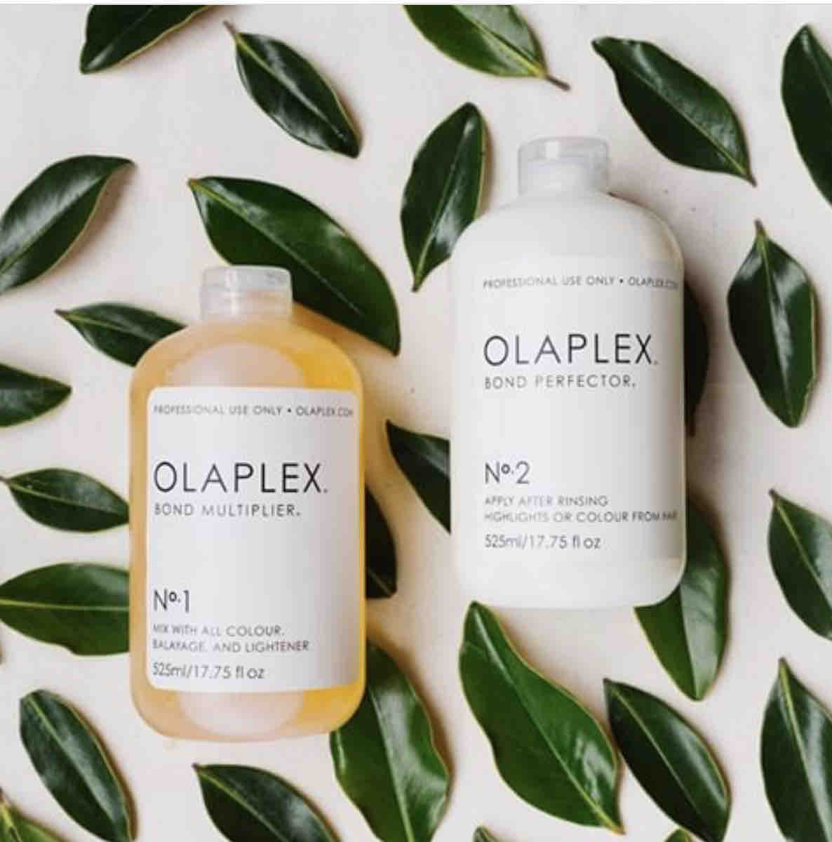 OLAPLEX Add-On + Color Service