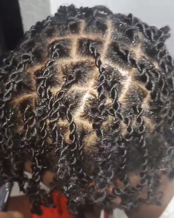 Two Strand Twist Long