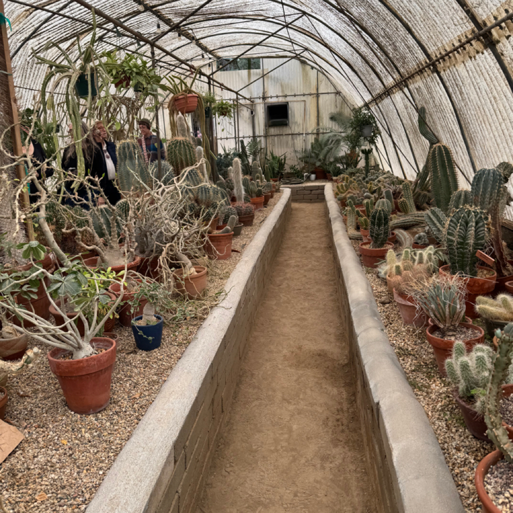 Full Color at Indigo Salon @ Beaumont in Lexington, KY