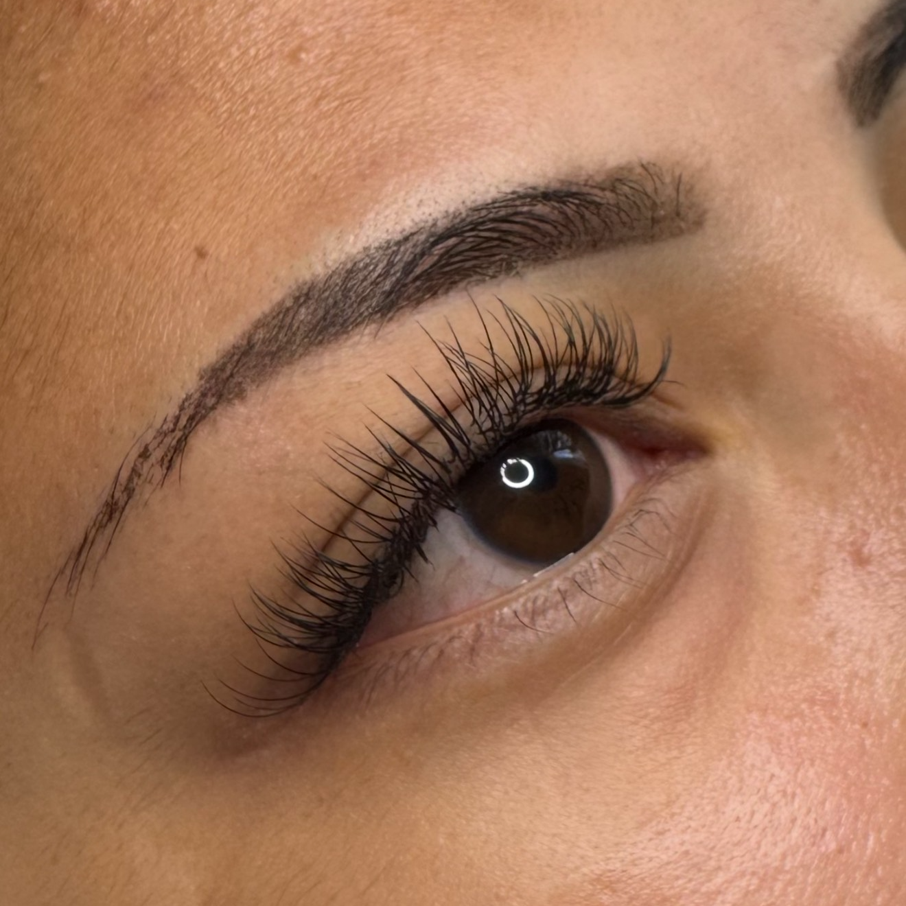 Classic Lash Extensions 2 Week Fill