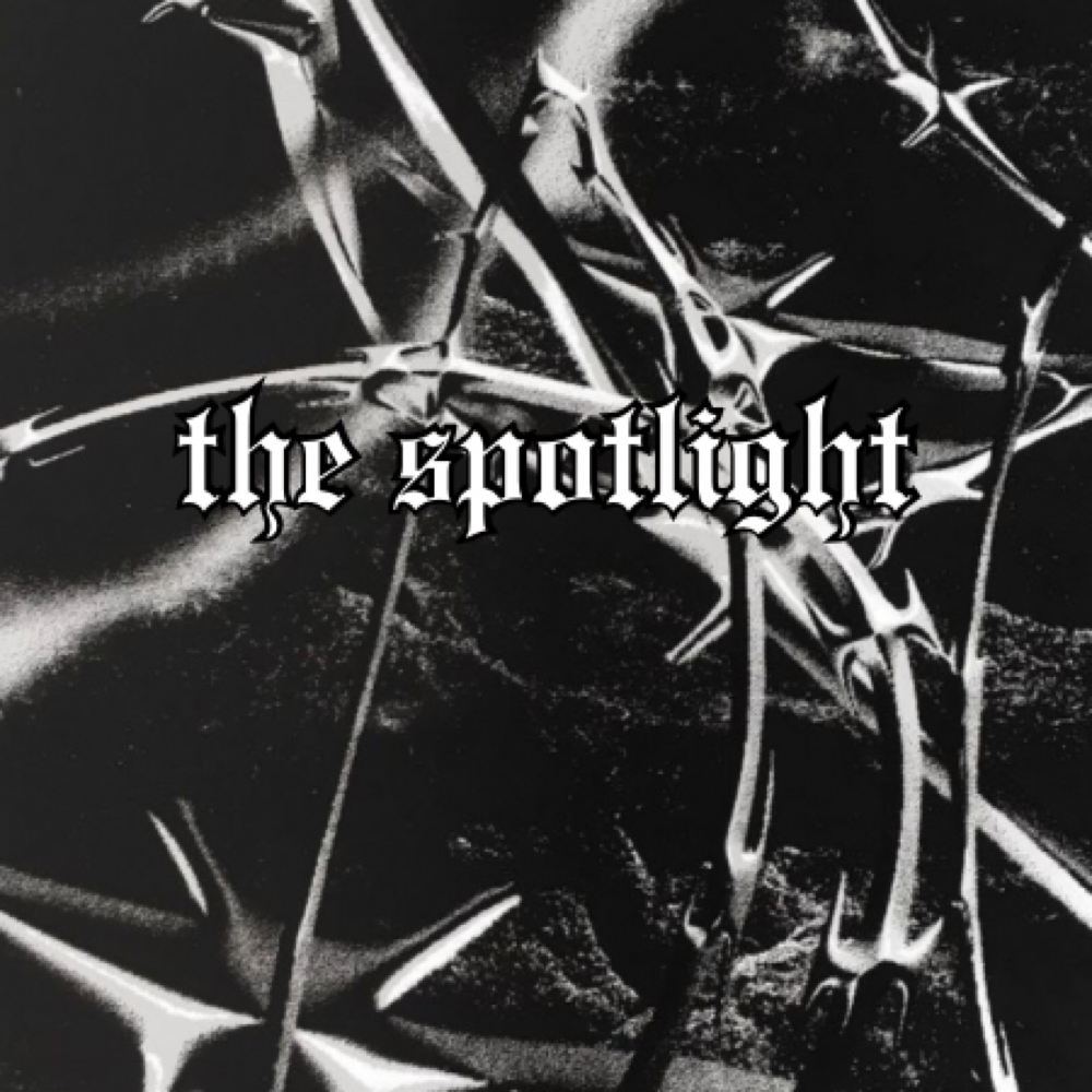 💡🔆 the spotlight 🔆💡 at Amanda Pepe in Pawtucket, RI