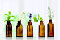 Aromatherapy