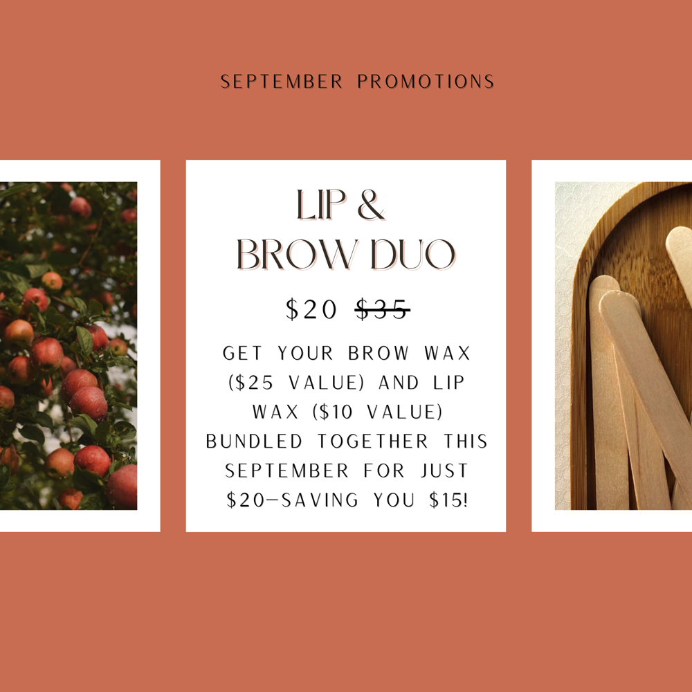 Lip And Brow Duo at Nina Impag Esthetics in San Antonio, TX