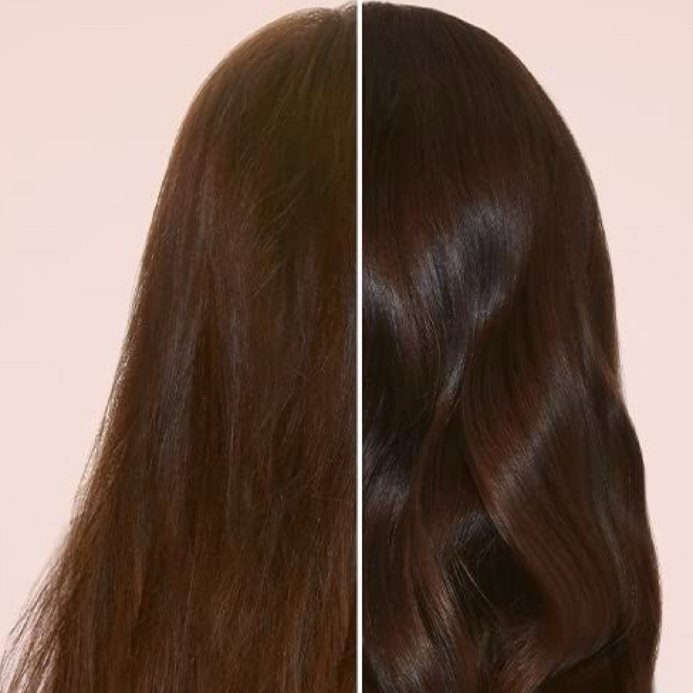 Signature Gloss + Tone at The Hair Conservatory in Raleigh, NC
