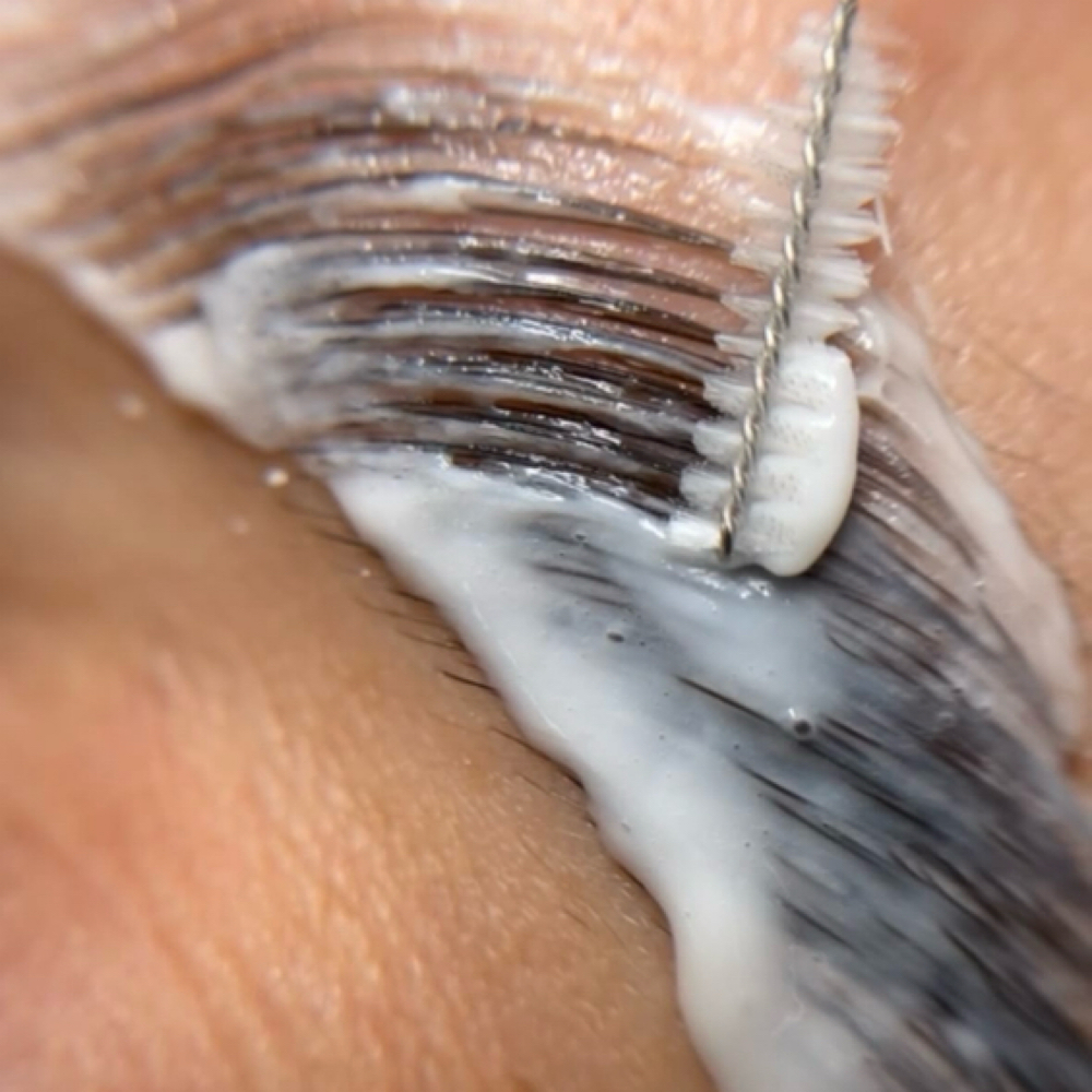 Brow Transformation Model at Beauty By Brenda Studio in Largo, FL