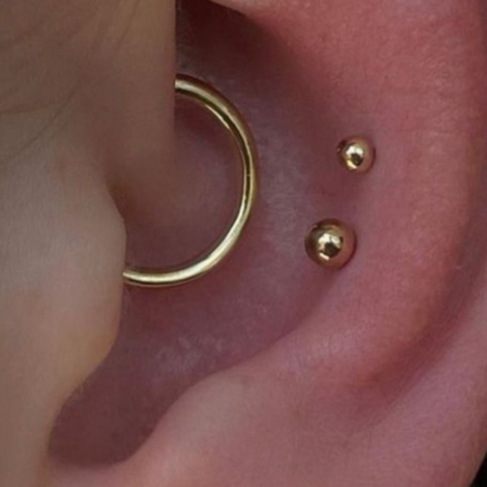 Double Conch Piercing at Gilded Needle in BRENTWOOD, CA