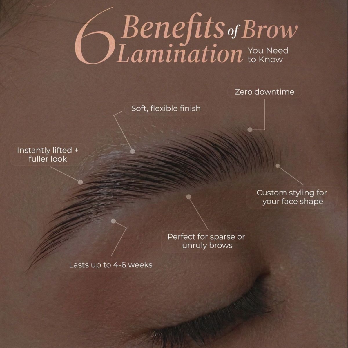 brow lamination + tint at shannyb_ esthetics in Fond du Lac, WI