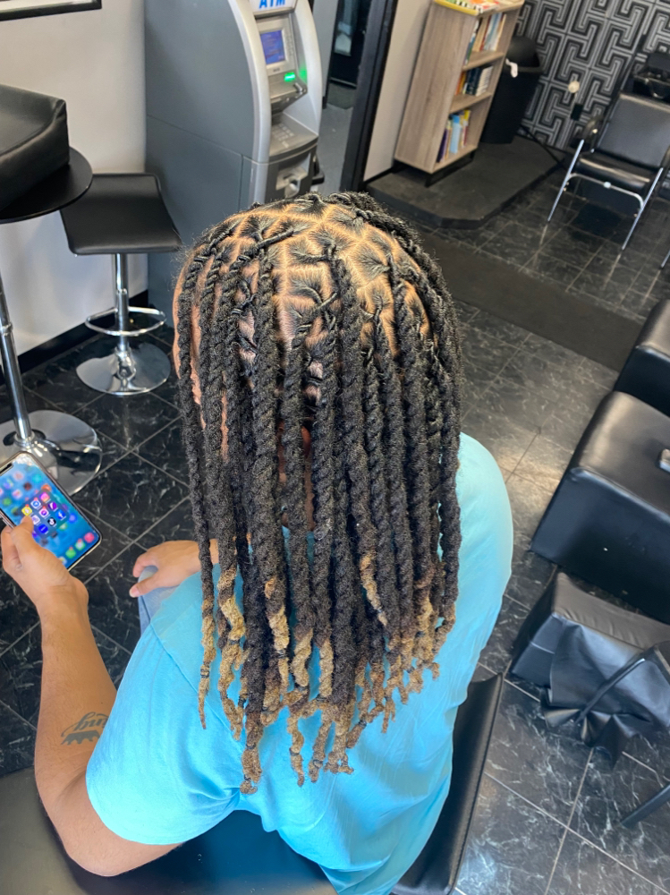 2 Strand Twist Loc Style