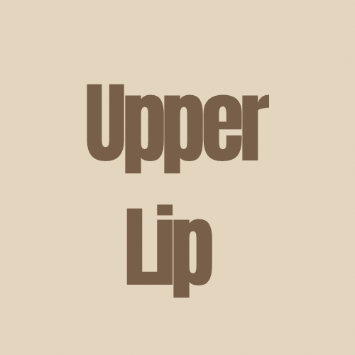 Upper Lip