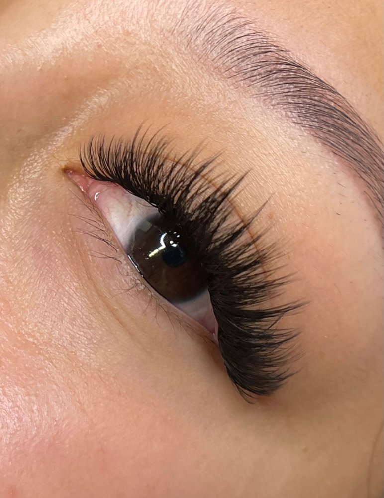 Signature Volume Full Set