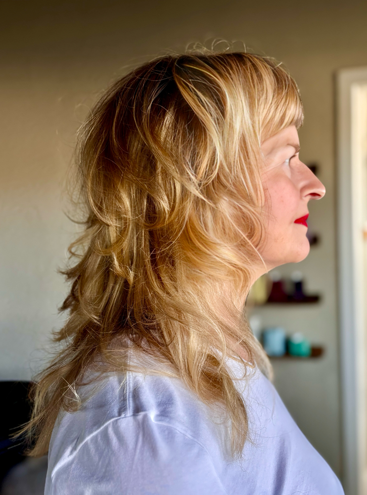 Master Haircut and Blowout