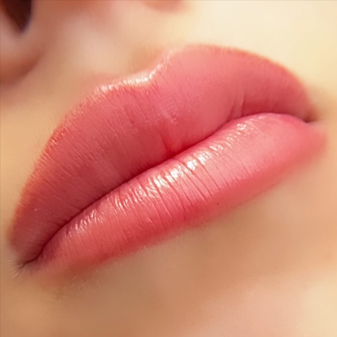 Lip Blush Touchup (6-8 weeks) at Beauty in Bloom in Centennial, CO