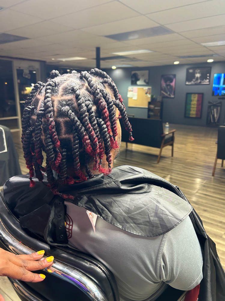 Two Strand Twist
