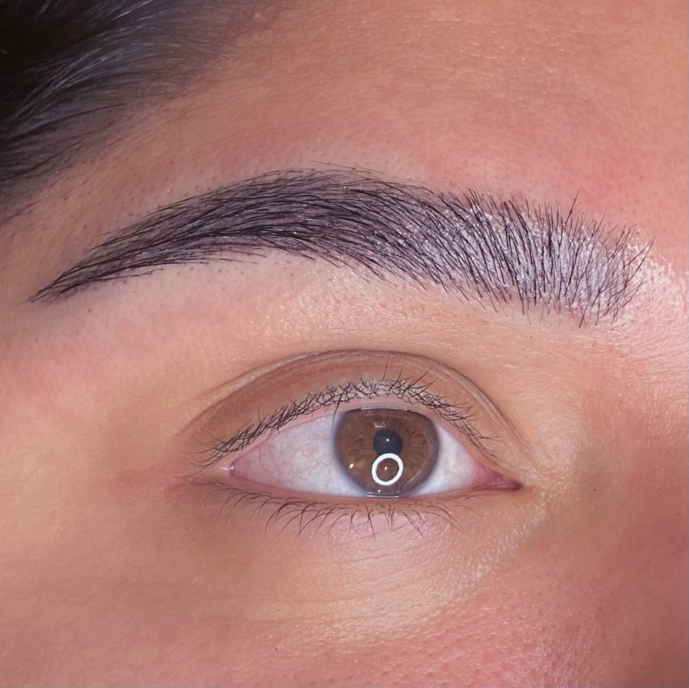 Hybrid Brows
