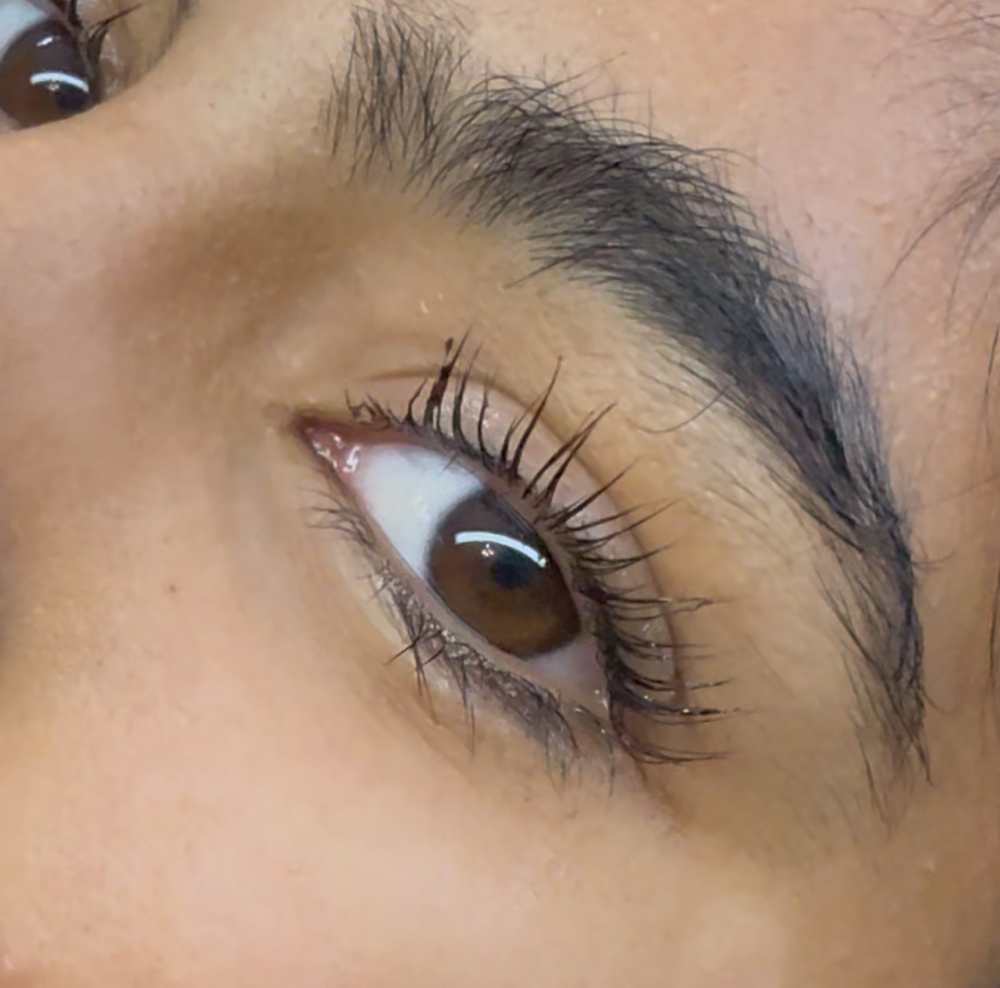 Lash Lift + Tint
