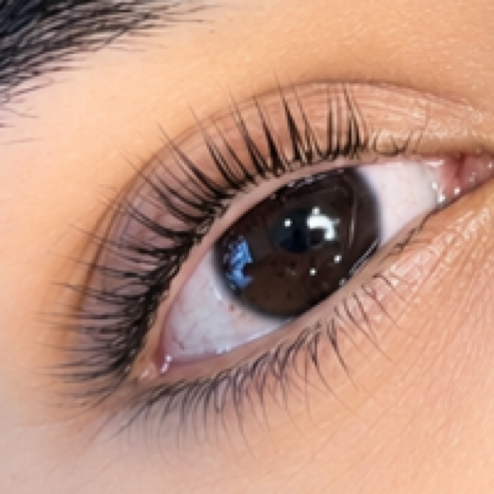 Korean Lash Lift + Tint at All Things Esthetics in Bakersfield, CA