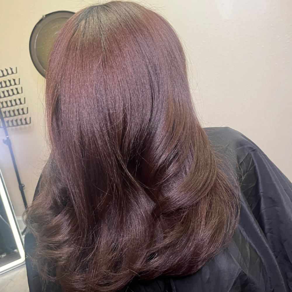 Single Process Color (no Bleach) at Scientific Beauty in Milford, CT