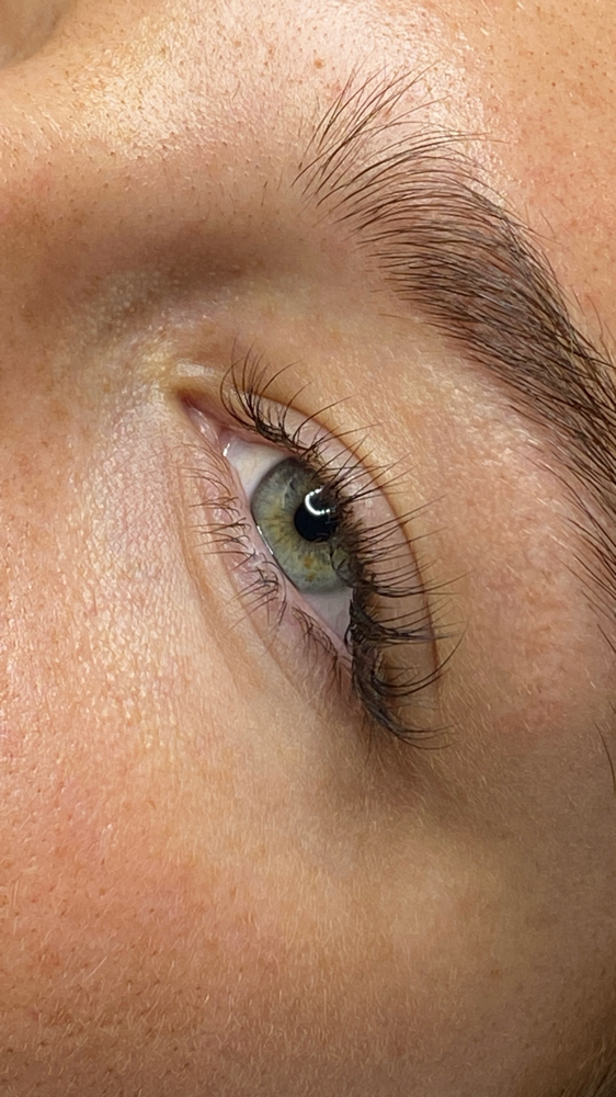 Lash Extentions Classics