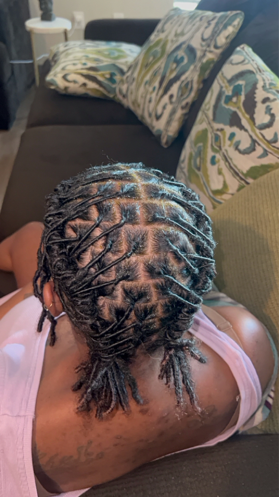 Starter Locs Style Included✨