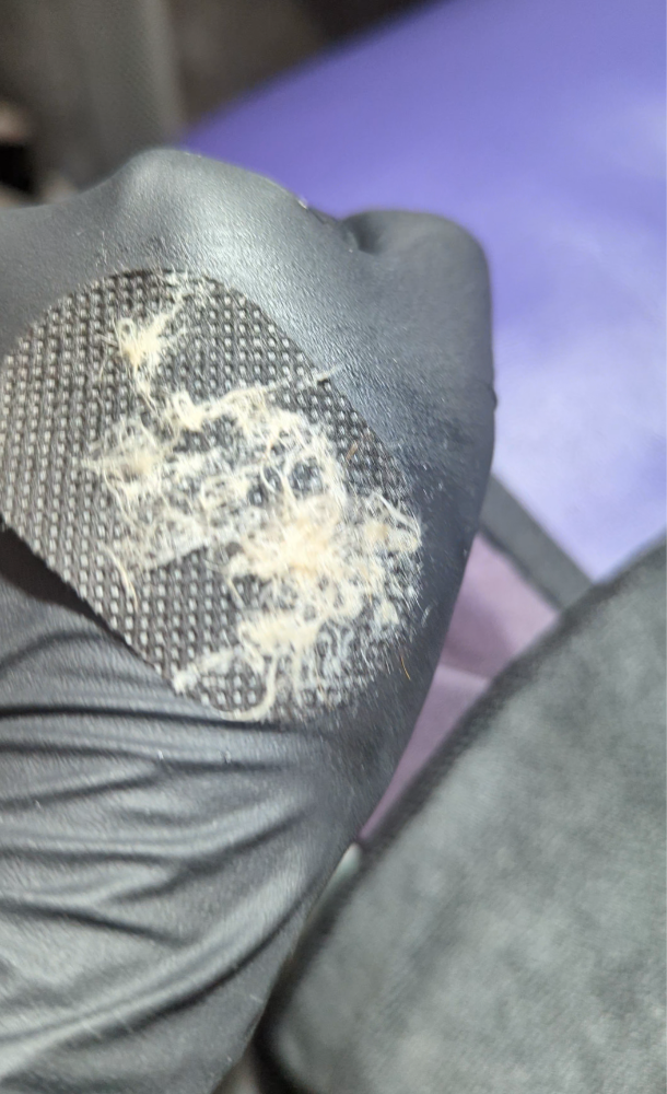 Peach Fuzz Removal