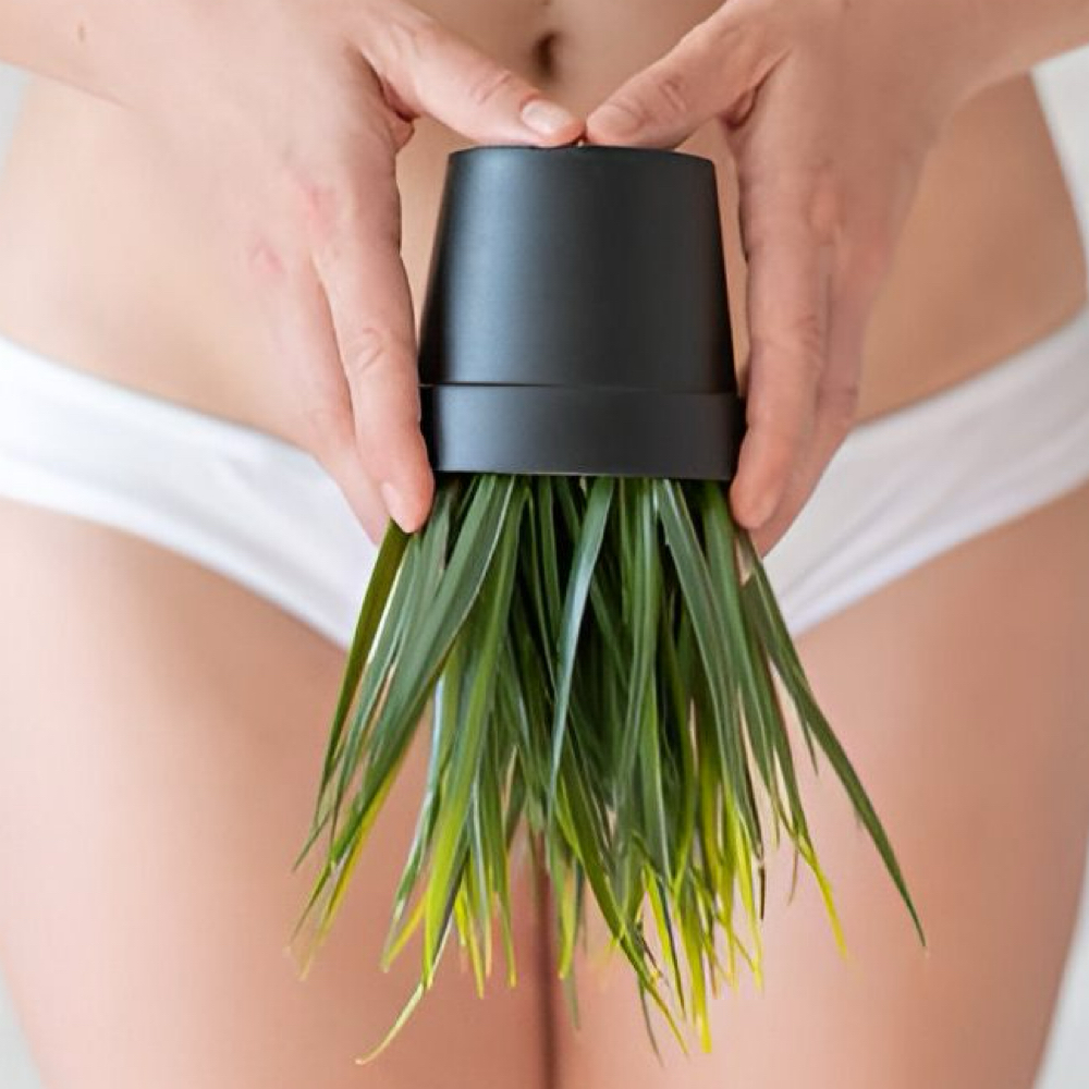 Bikini Wax (NEW CLIENT) at NAKED Beauty Bar in Prescott, AZ