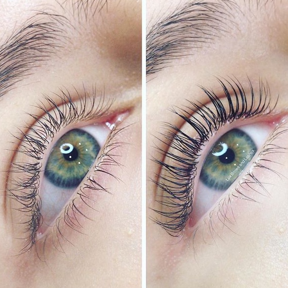 Lash Lift & Tint at Wild T Beauty in Pollock, SD