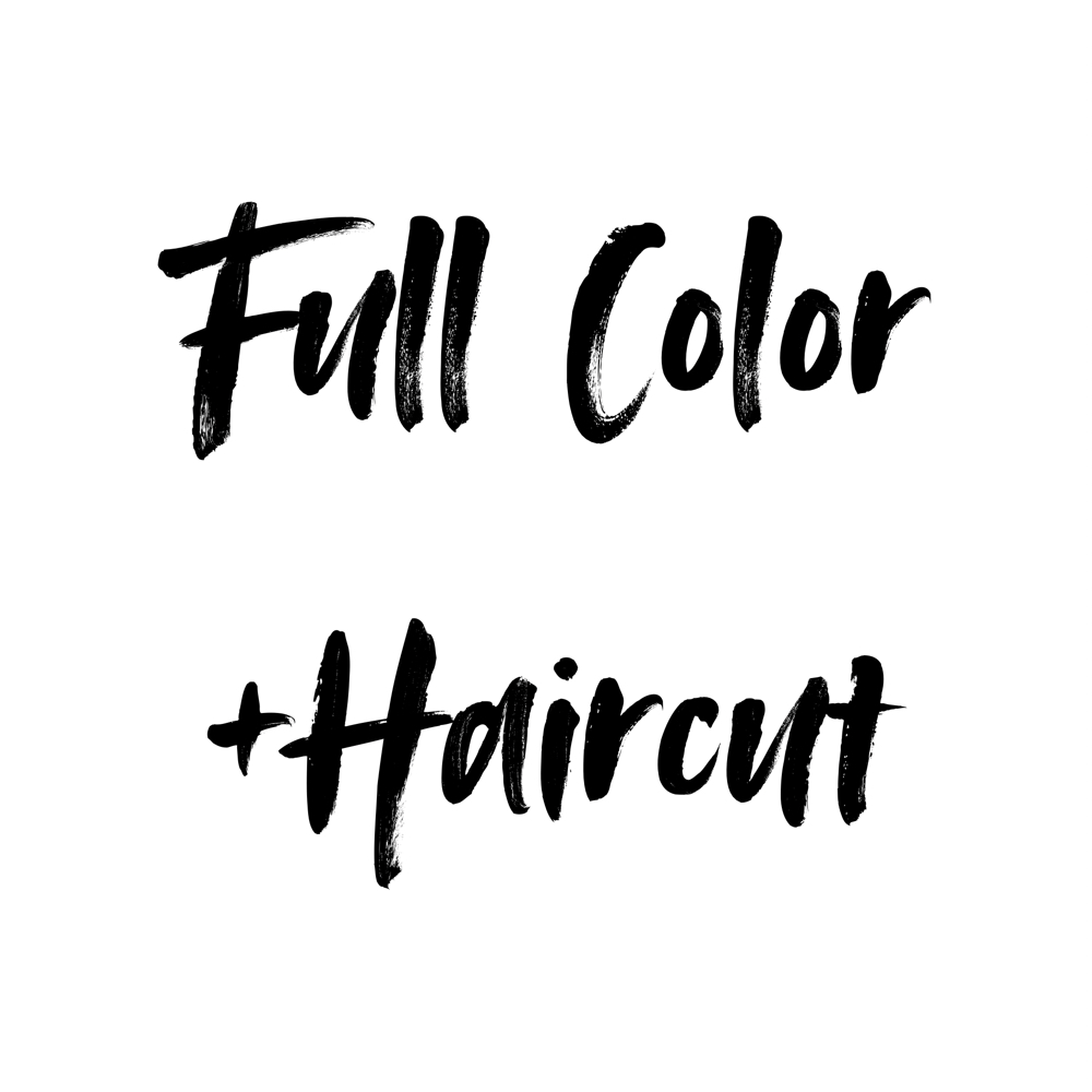 Full All Over Color+Haircut at ROYGBV Creative Hair Design in Woodhaven, MI