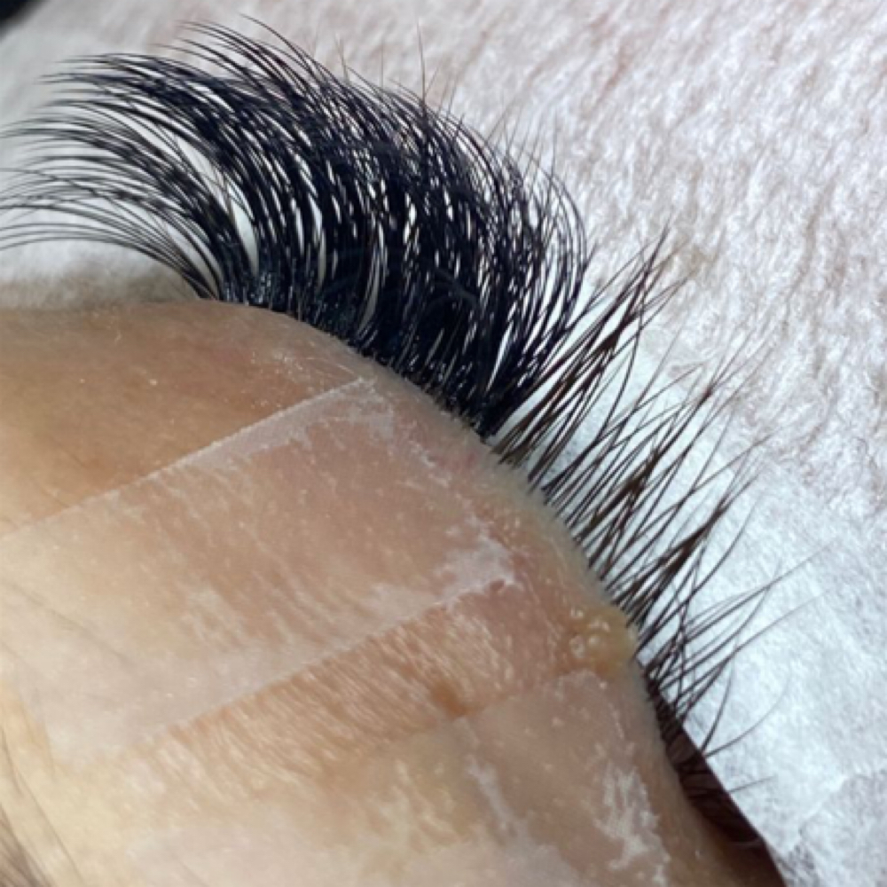 Classic Lash Fill | 2-3 Weeks at The Faceologist in Columbus, OH